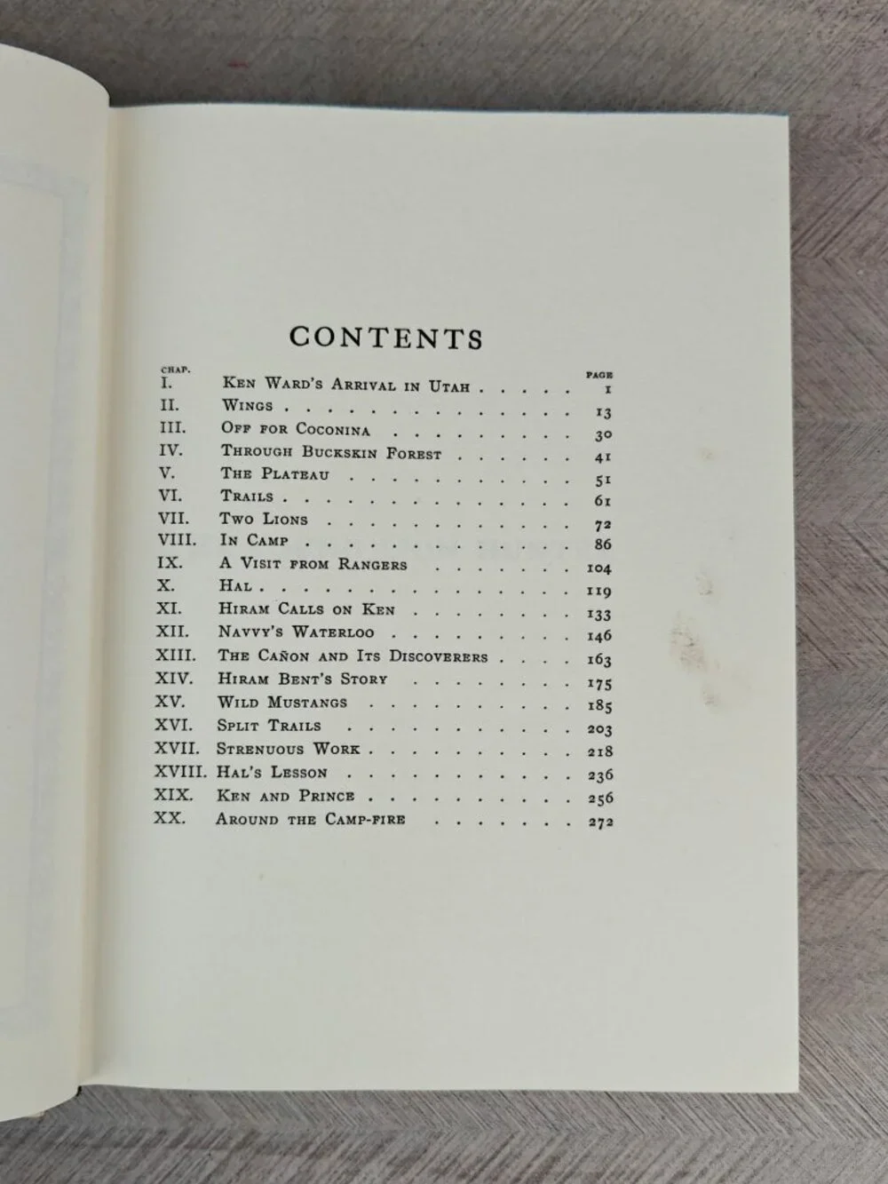 The Young Lion Hunter Zane Grey Hardcover 1939 Western Adventure Classic